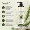 EvoraCare Rosemary Shampoo.
